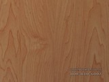 ����ǿ�����ϵذ���ô��ľPFC4624