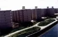 ��Է�������