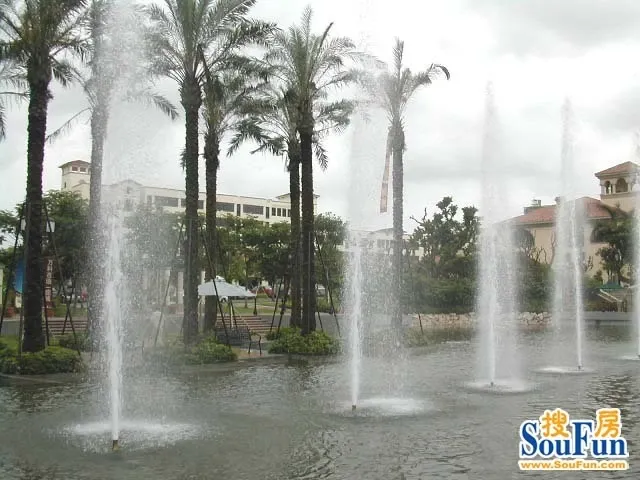 ��Ƴ�һ�ڵ����-�⾰ʵ��ͼ4(2005-6-21)