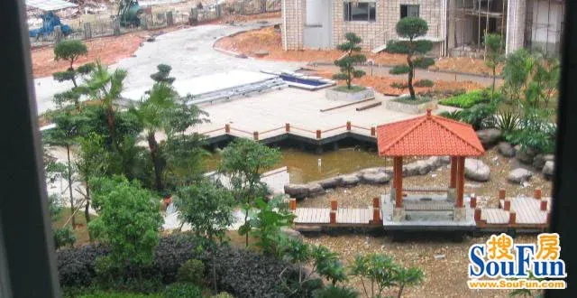 ���̽�����200506027