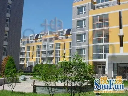 柏阳景园4室2厅1卫南北朝向7500.00元/月出租