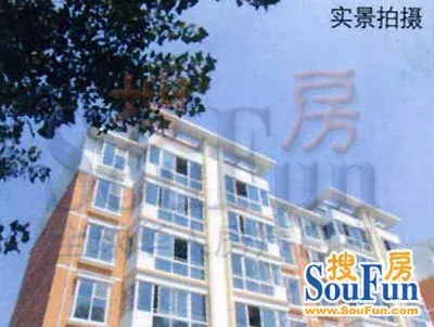 阳洲鑫园3室1厅2卫南北朝向2400.00元/月出租