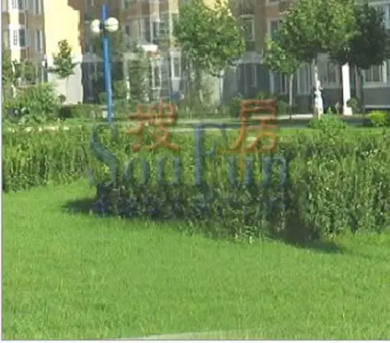 �콢����ʵ��ͼ