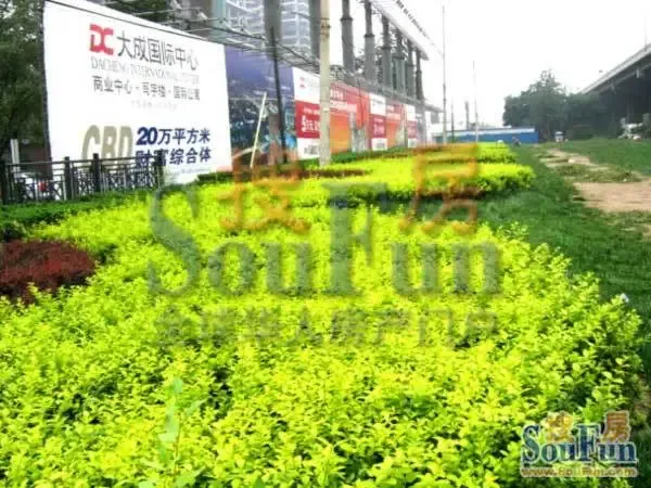 大成国际公寓1室1卫南朝向5000.00元/月出租