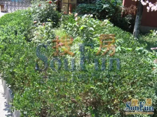 和风四季1室1厅1卫南朝向3600.00元/月出租