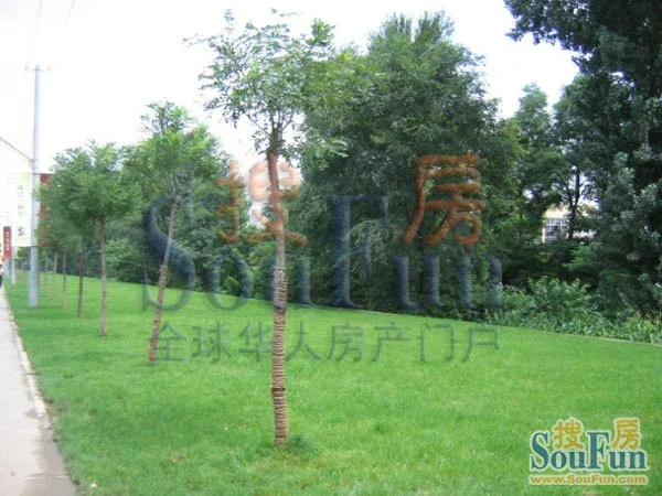 珠江御景3室1厅2卫南北朝向5500.00元/月出租