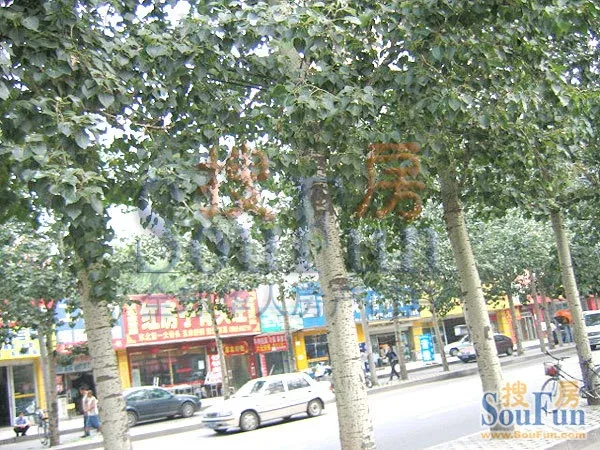 整租·丽泽·东瑞丽景·1室