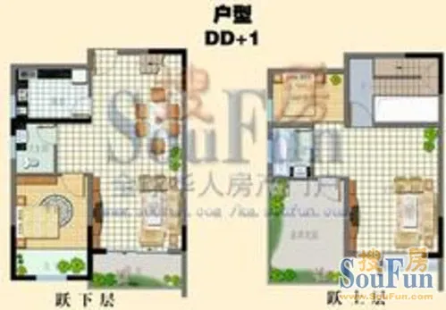 DD+1����