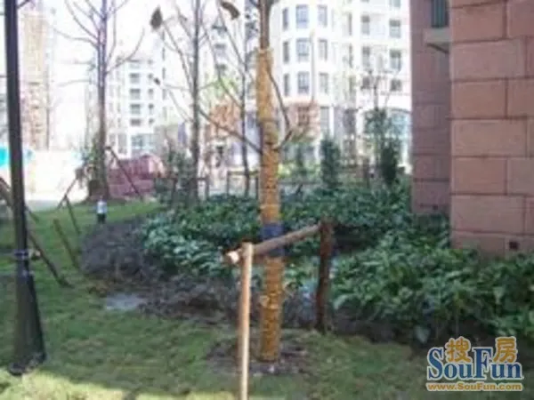 ��ͩ���������-�ֳ�4