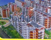 ˮ鿻���