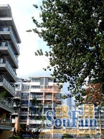 海盛新阳光地带2室1厅1卫南朝向800.00元/月出租