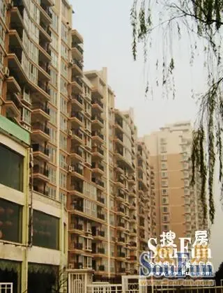 翠堤湾3室2厅1卫南朝向1800.00元/月出租