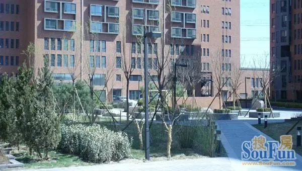 ��ׯ����ʵ��ͼ