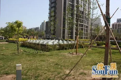 金泰城丽湾2室1厅2卫南朝向8800.00元/月出租