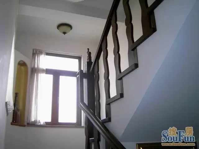 �ĺ������������