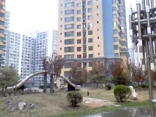 �ٷ�2008�ǳ��ռ��⾰ͼ