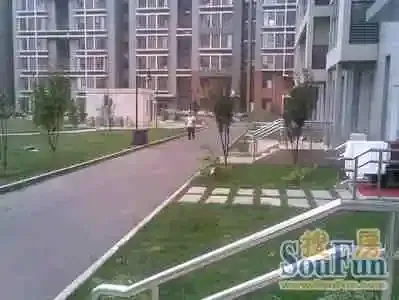 ���м�԰�⾰ͼ