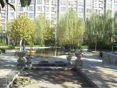 ���ӷ��⾰ͼ