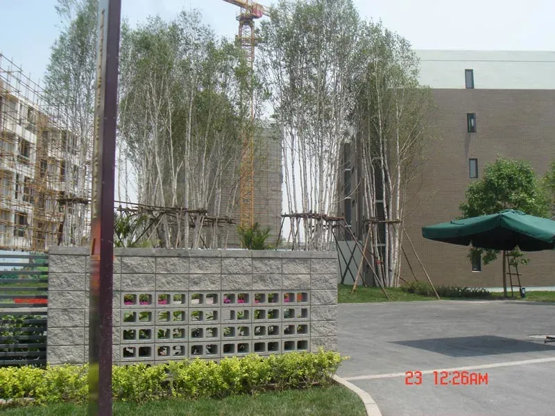 2012天津限价房楼盘申请 工薪阶层购买攻略|搜