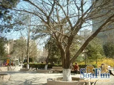 �п�Ժ����С���⾰ͼ