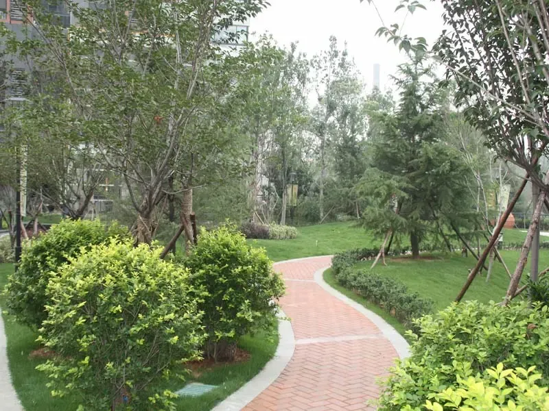 笨笨访四方高性价比热盘 看保利百合花园新变