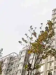 �������Ļ���ס���⾰ͼ