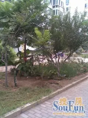 �ҳ�·�⾰ͼ