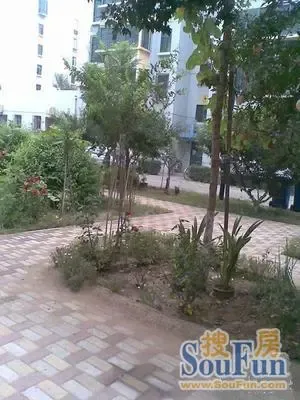 ��ƽ��ֹ�˰�������⾰ͼ