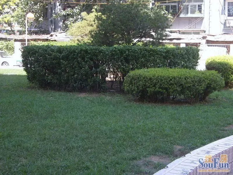 ��Ӫ�������⾰ͼ