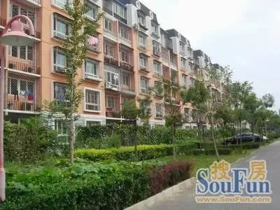 三山新新家园2室1厅1卫南北朝向3600.00元/月出租