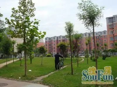 三山新新家园2室2厅1卫南北朝向3400.00元/月出租