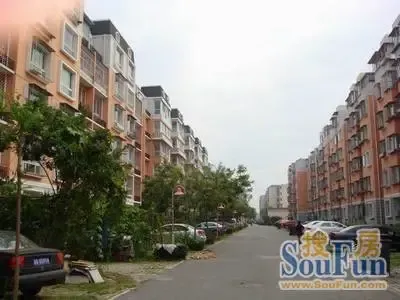 三山新新家园1室1厅1卫南北朝向2600.00元/月出租