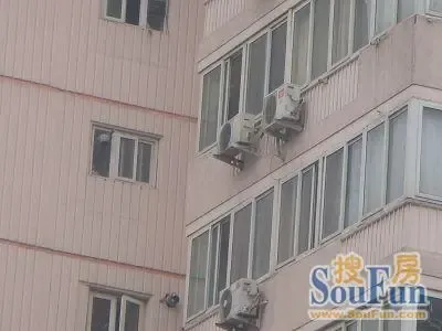 ����Ӷ�·��8��Ժ�⾰ͼ