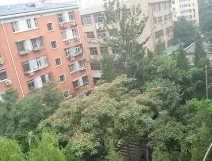�ƻ����� �⾰ͼ