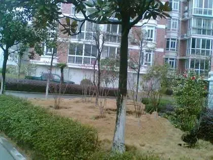 �򷻵����¥С���⾰ͼ