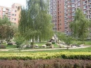 �뵼�������⾰ͼ
