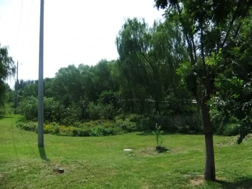 ��������������Ԣ�⾰ͼ