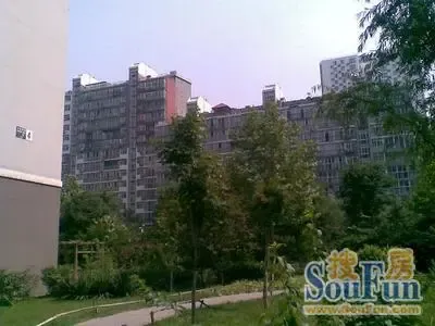 ֣��ׯ308��Ժ�⾰ͼ