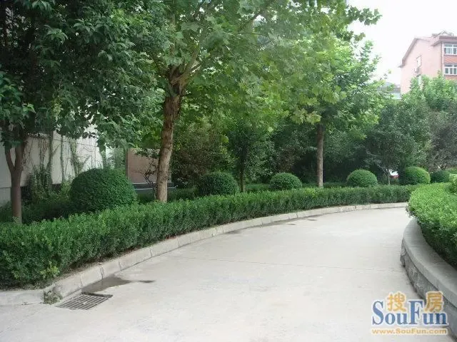 ǰ��57��Ժ�⾰ͼ