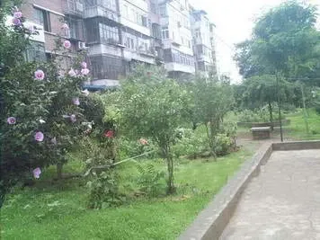 ���ҵ��ľ��⾰ͼ