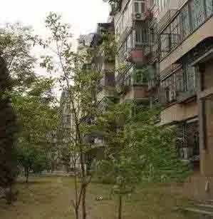 ��Դ·56��Ժ�⾰ͼ