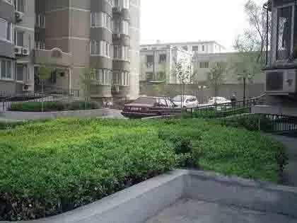 ����·15��Ժ�⾰ͼ