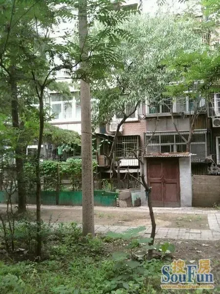 �ʵ�����	�⾰ͼ