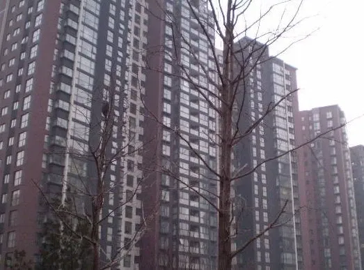 望京192平南北大四居室 全天采光 户型方正