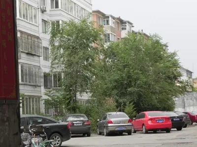 整租·兴茂家园 1室1厅 南