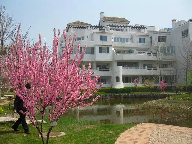 孺�����THE MANOR�⾰ͼ