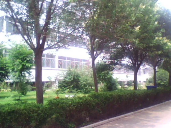鸢飞小区二手房实景图