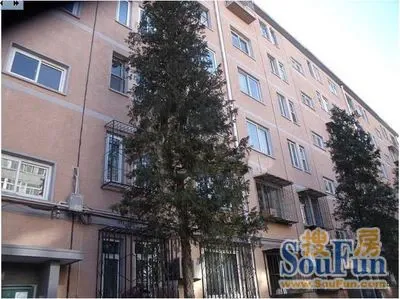 �Ž����·��һ���⾰