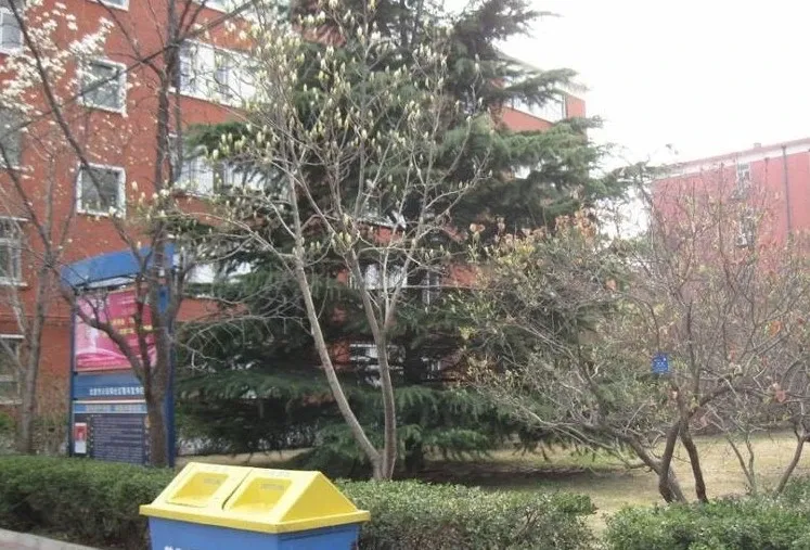 �뵼�������⾰ͼ