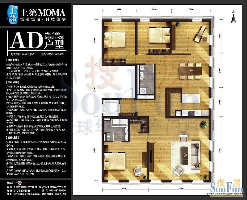 �ϵ�moma����ͼ